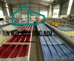 TÔN NHỰA 5 SÓNG