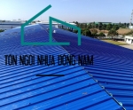 TÔN NHỰA 5 SÓNG